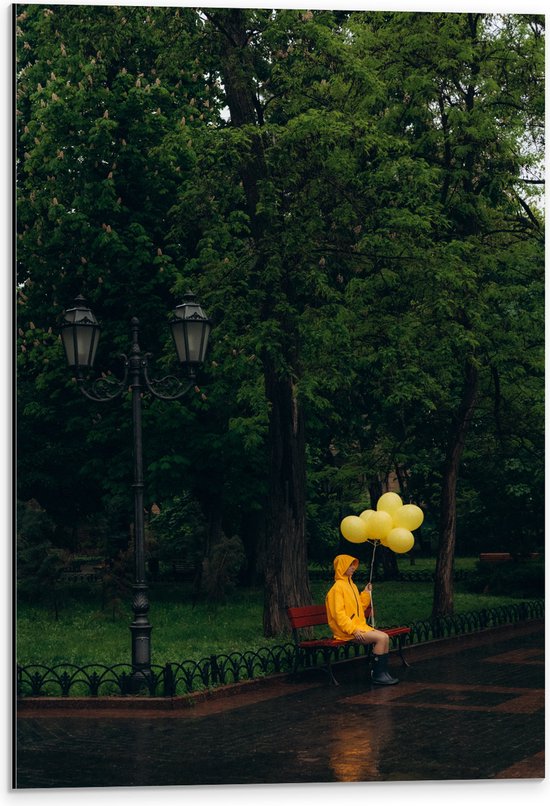 Foto: Dibond bomen persoon bankje parkje lantaarnpaal regenjas ballonnen regen 40x60 cm foto op aluminium met ophangsysteem 