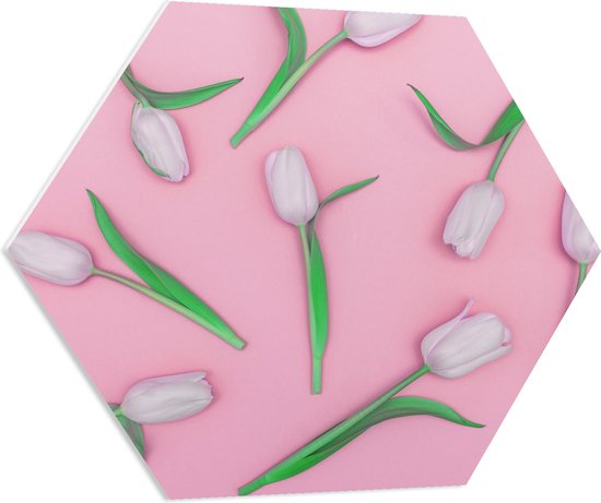 PVC Schuimplaat Hexagon - Groepje Lichtroze Tulpen op Roze Oppervlak - 80x69.6 cm Foto op Hexagon (Met Ophangsysteem)