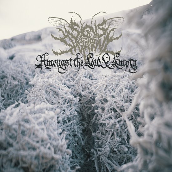 Signs Of The Swarm - Amongst The Low & Empty (LP)