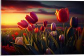 Acrylglas - Kleurrijke Tulpen in Bloemenveld - 60x40 cm Foto op Acrylglas (Wanddecoratie op Acrylaat)