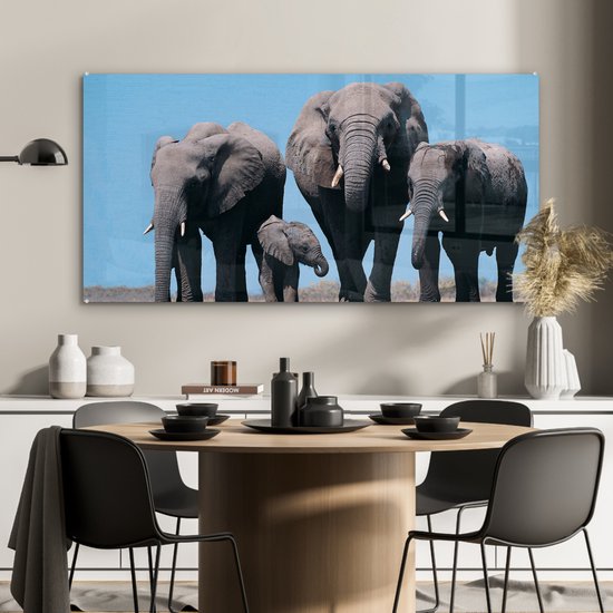 MuchoWow® Peinture sur verre - Éléphant - Plaine - Animaux - Nature - 120x60 cm - Peintures sur verre acrylique - Photo sur Glas