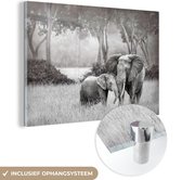 MuchoWow® Peinture sur verre - Éléphant - Animaux - Nature - Zwart et blanc - 60x40 cm - Peintures sur verre acrylique - Photo sur Glas