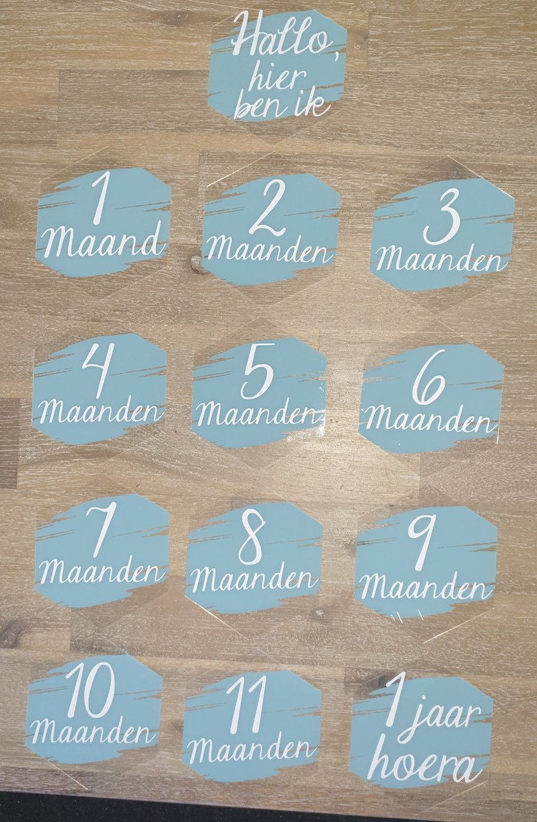 Goedkoopste Mijlpaal kaarten Acryl - Maanden set - 13 borden - baby - milestone - zwanger - kraamcadeau - babyshower - blauw - cirkel