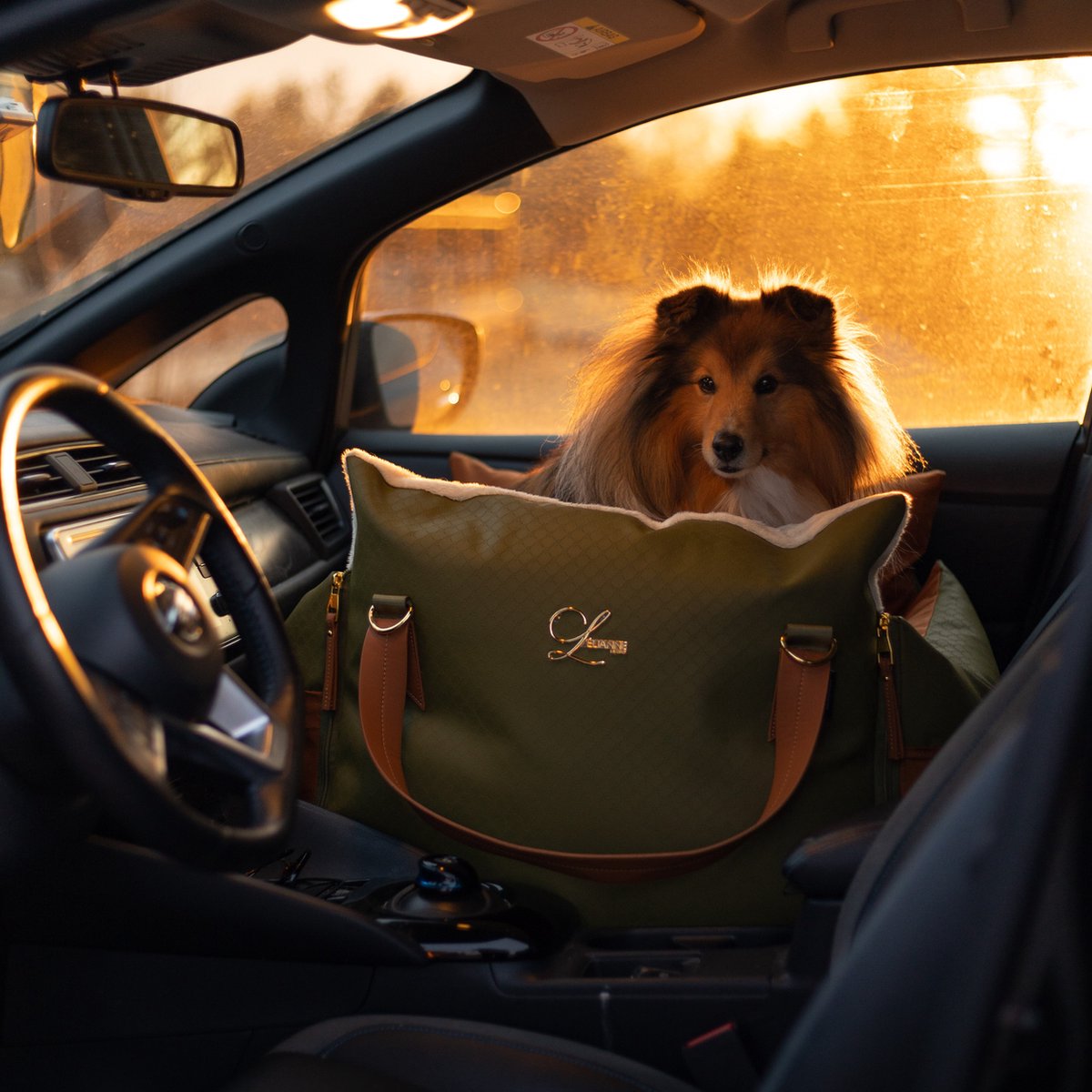 L'élianne ® : Siège d'auto de Luxe pour Chiens - Lit d'auto pour chien -  Siège d'auto | bol