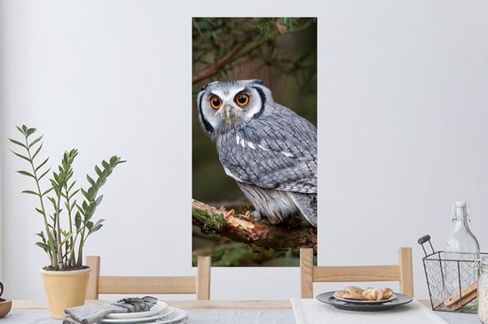 Stickers muraux - Film autocollant - Hibou - Vogel - Branches - Nature - 40x80 cm - Film adhésif - Stickers muraux Chambre d'enfant - Papier peint autocollant