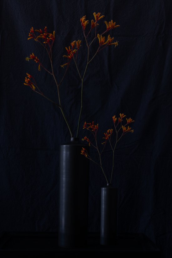 Vaas aan de muur - Muur bloempot - Hang bloempot - Muur vaas - Bonsai