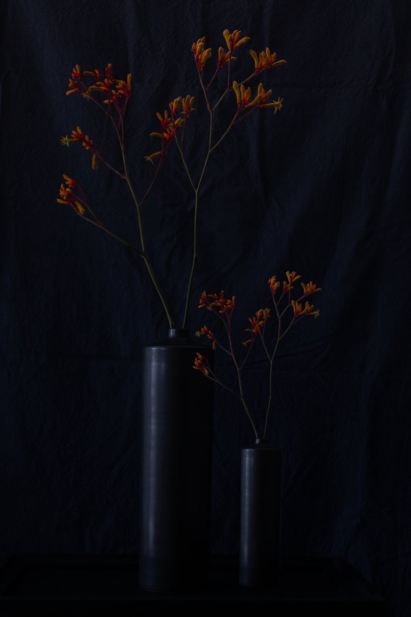 WyArt - Kunst aan de muur - bloemen - donkere vaas met takken en oranje bloem - 800x1200 - glas - 4mm