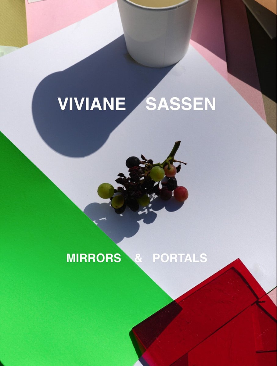 Viviane Sassen: Hot Mirror Paperback Book - Viviane Sassen