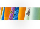 PVC Schuimplaat- Rij Verschillende Kleuren Surfboards - 60x20 cm Foto op PVC Schuimplaat