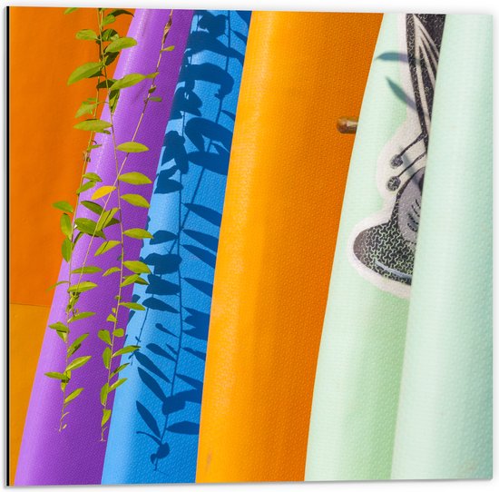 Dibond - Rij Verschillende Kleuren Surfboards - 50x50 cm Foto op Aluminium (Wanddecoratie van metaal)