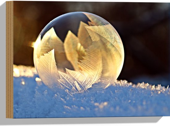 Hout - Glas - Bol - Sneeuw - Kleuren - 40x30 cm - 9 mm dik - Foto op Hout (Met Ophangsysteem)
