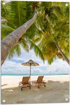 Tuinposter – Schuingroeiende Palmboom boven Ligbedden en Parasol op het Strand - 50x75 cm Foto op Tuinposter (wanddecoratie voor buiten en binnen)