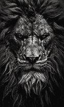Leeuwenposter | Poster leeuw | Zwart wit poster | natuur poster | dierenposter | 51x71cm | Geschikt om in te lijsten