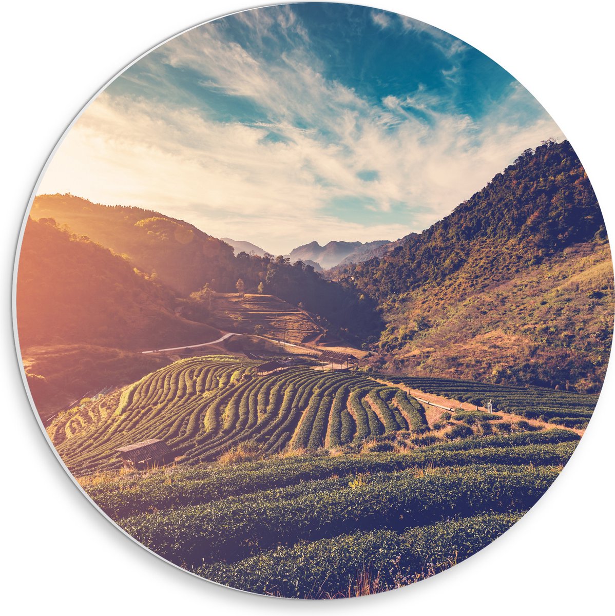 PVC Schuimplaat Muurcirkel - Sluierbewolking over Natuurrijk Landschap - 30x30 cm Foto op Muurcirkel (met ophangsysteem)