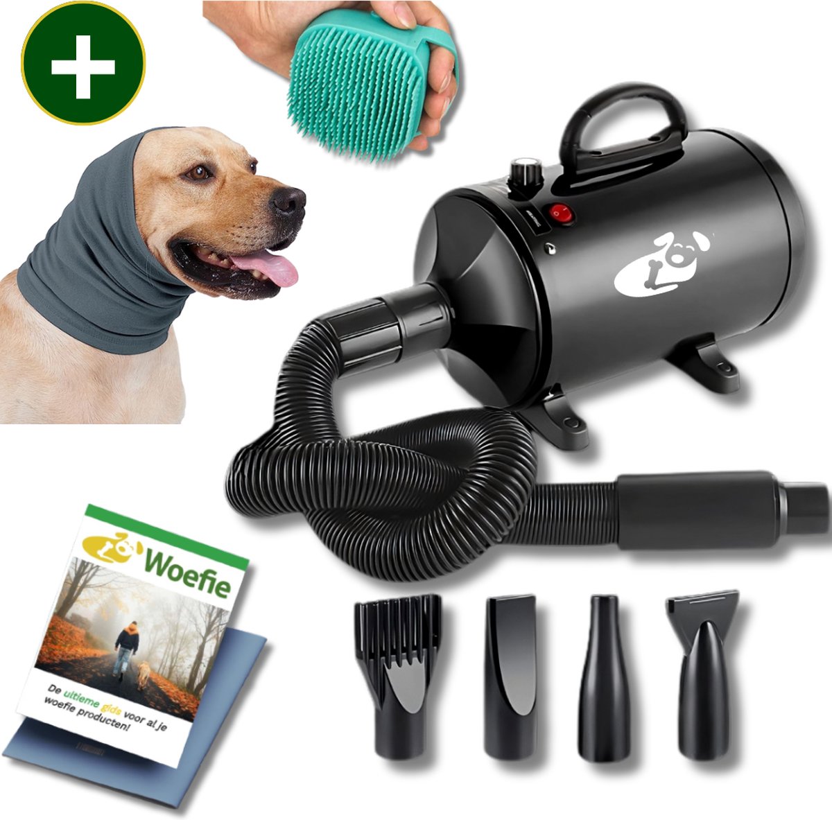 PetChamp Sèche-cheveux professionnel pour chien avec 4 accessoires -  Souffleur d'eau