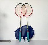 Badminton set - 2 Rackets - 2 shuttles in hoes.