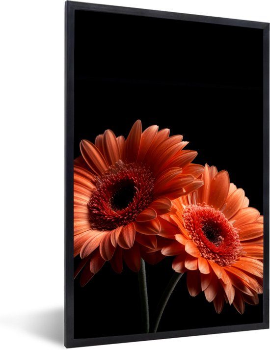 Cadre photo avec poster - Fleurs - Botanique - Gerbera - Oranje - Zwart - 20x30 cm - Cadre poster