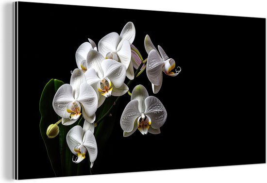 Wanddecoratie Metaal - Aluminium Schilderij Industrieel - Orchidee - Bloemen - Wit - Natuur - Zwart - 120x60 cm - Dibond - Foto op aluminium - Industriële muurdecoratie - Voor de woonkamer/slaapkamer