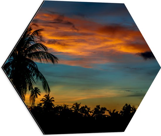Dibond Hexagon - Silhouet van Hoge Boom bij Kleinere Bomen onder Oranje Wolken - 50x43.5 cm Foto op Hexagon (Met Ophangsysteem)