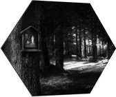 Dibond Hexagon - Bossen - Bomen - Vogelhuisje - Zwart - Wit - 70x60.9 cm Foto op Hexagon (Met Ophangsysteem)