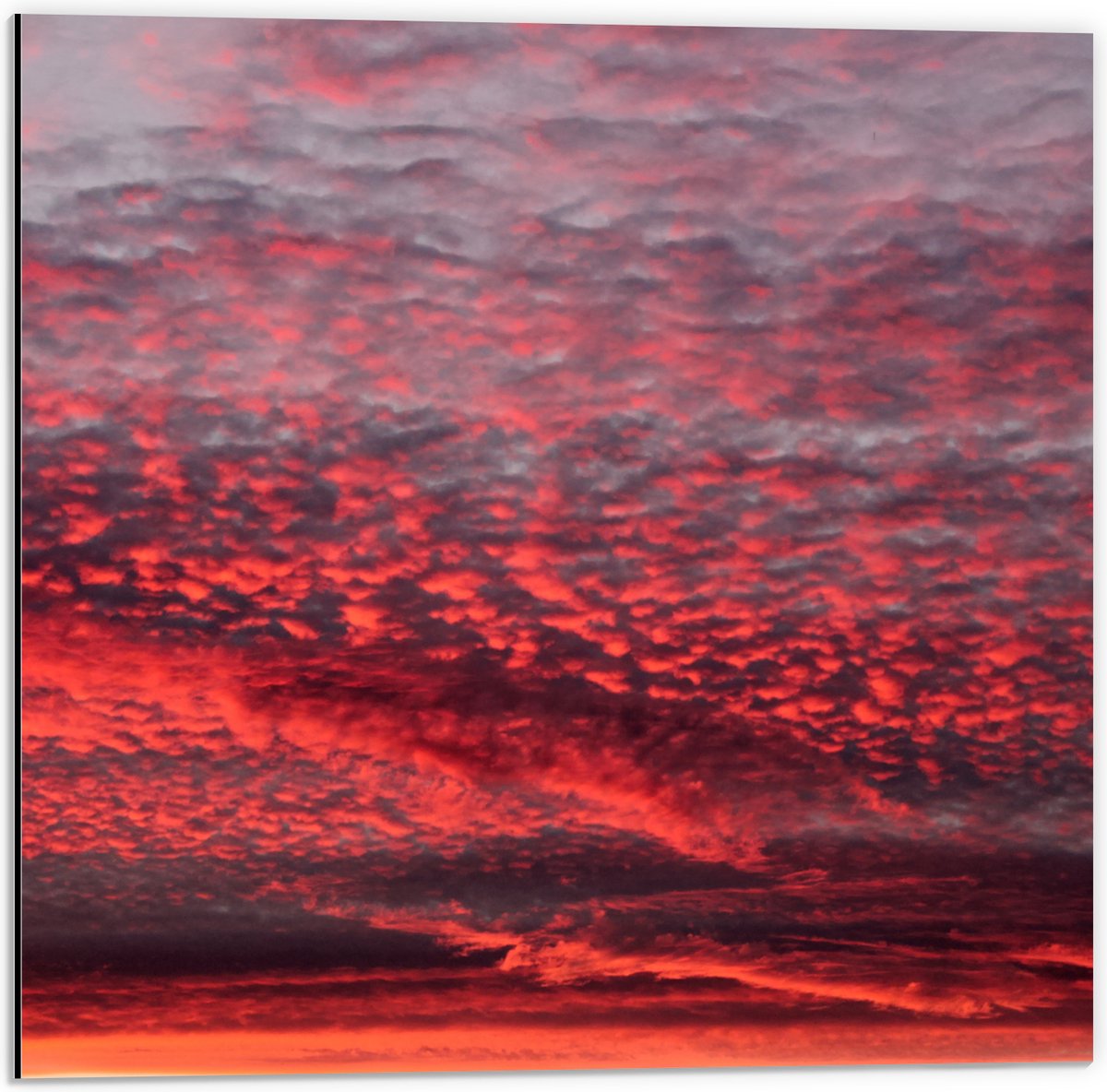 Dibond - Rode Gloed over Sluierbewolking in de Lucht - 50x50 cm Foto op Aluminium (Wanddecoratie van metaal)
