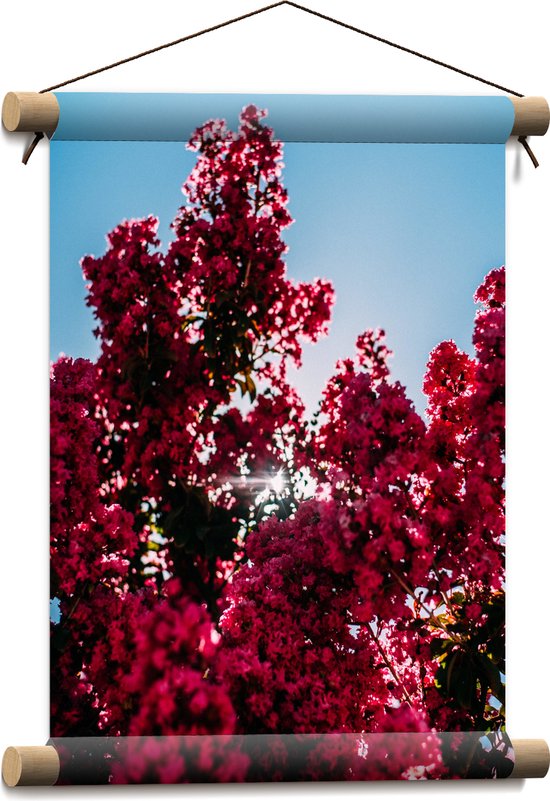 Textielposter - Bomen - Bloemen - Bloesem - Zon - 30x40 cm Foto op Textiel