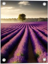 Tuinposter – Rijen Lavendelbloemen in Weiland - 30x40 cm Foto op Tuinposter (wanddecoratie voor buiten en binnen)