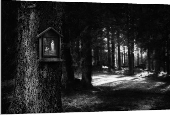 PVC Schuimplaat - Bossen - Bomen - Vogelhuisje - Zwart - Wit - 120x80 cm Foto op PVC Schuimplaat (Met Ophangsysteem)