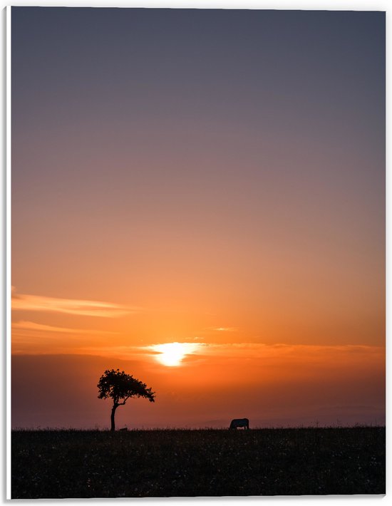 PVC Schuimplaat - Landschap - Wei - Boom - Dier - Zonsondergang - Gras - 30x40 cm Foto op PVC Schuimplaat (Met Ophangsysteem)