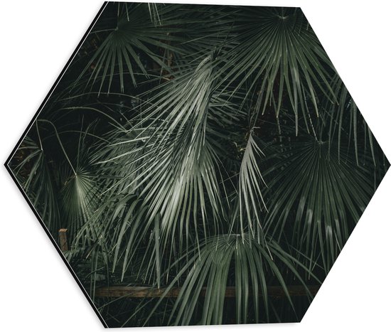 Dibond Hexagon - Smalle Groene Hangende Palmbladeren - 40x34.8 cm Foto op Hexagon (Met Ophangsysteem)
