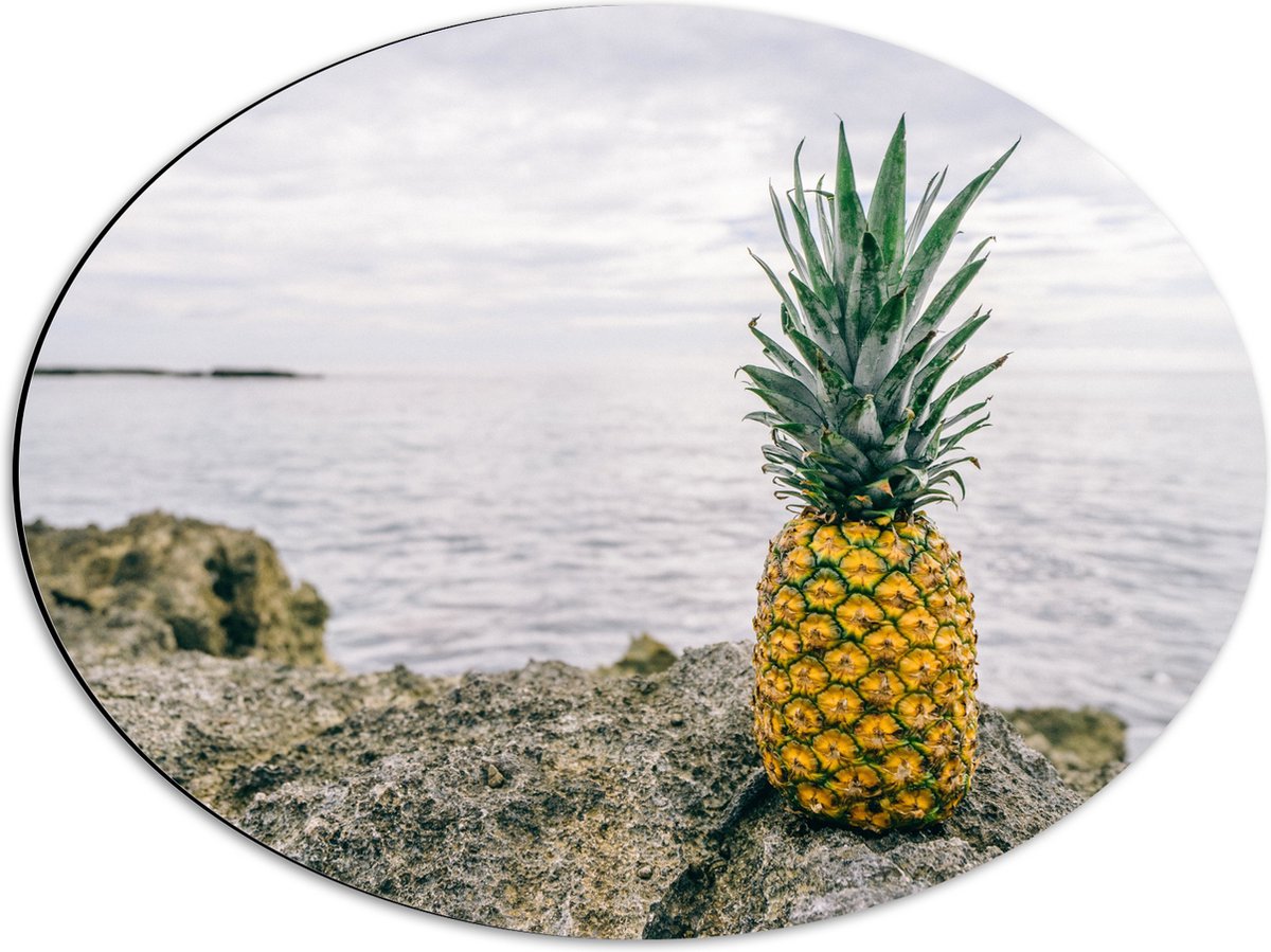 Dibond Ovaal - Ananas - Rotsen - Zee - Golven - 56x42 cm Foto op Ovaal (Met Ophangsysteem)