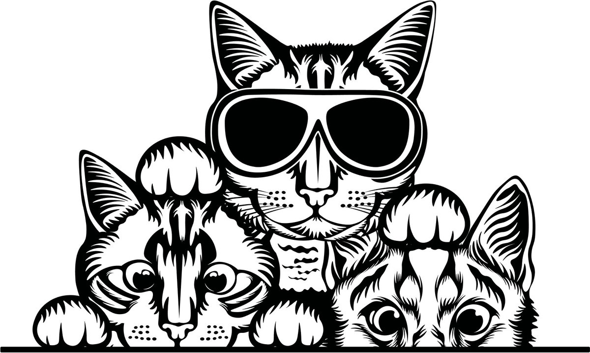 Raam- auto- bumper sticker 3 grappige gluur katten - poezen wallart