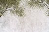 Fotobehang Tropical Trees And Leaves For Digital Printing Wallpaper, Custom Design Wallpaper - 3D - Vliesbehang - 270 x 180 cm