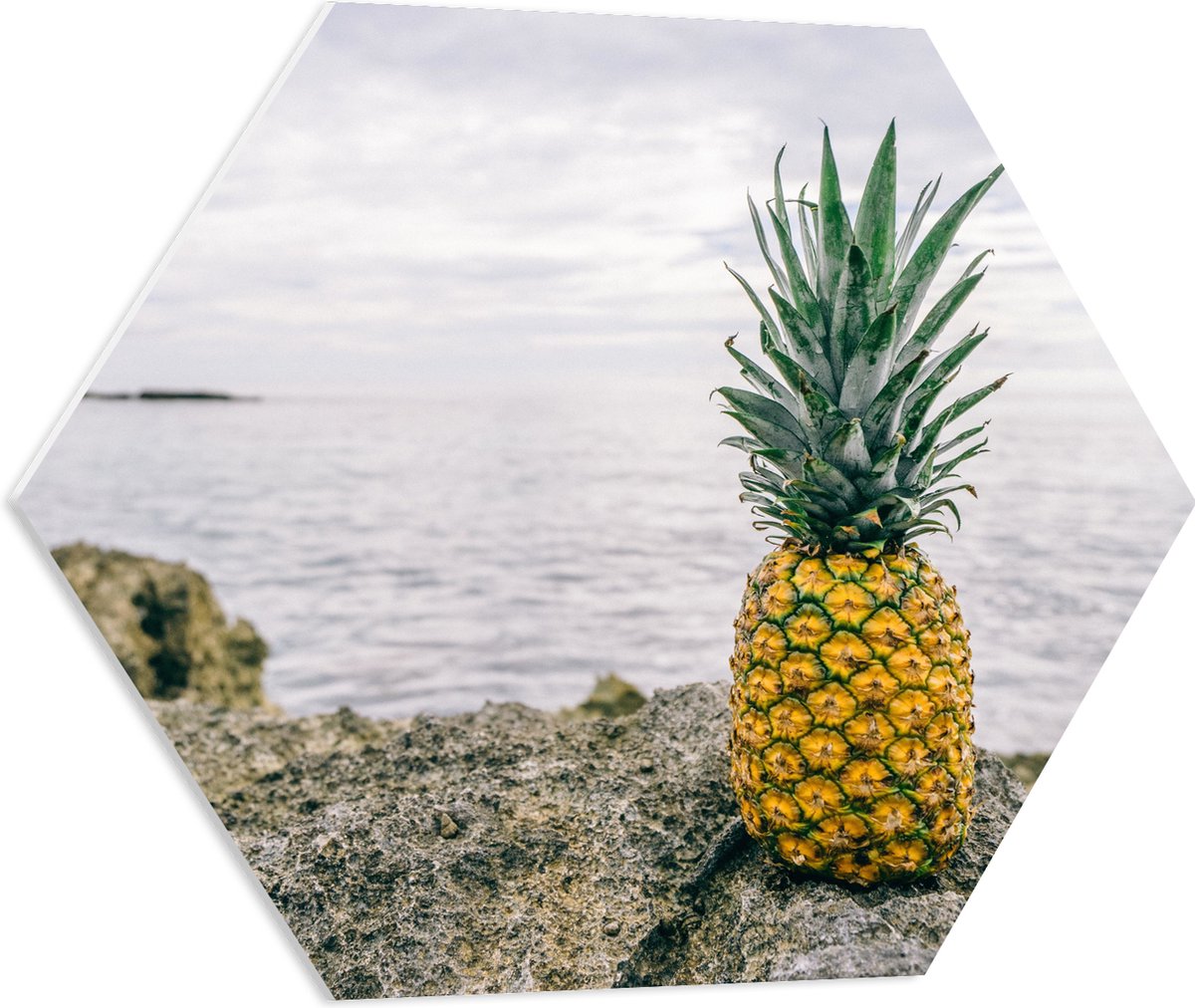 PVC Schuimplaat Hexagon - Ananas - Rotsen - Zee - Golven - 60x52.2 cm Foto op Hexagon (Met Ophangsysteem)