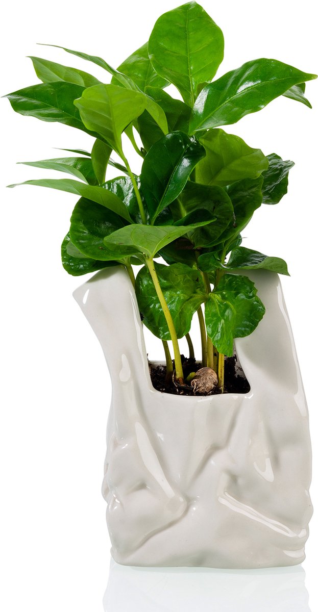 Bitten Not A Plastic Bag Pot - Klein