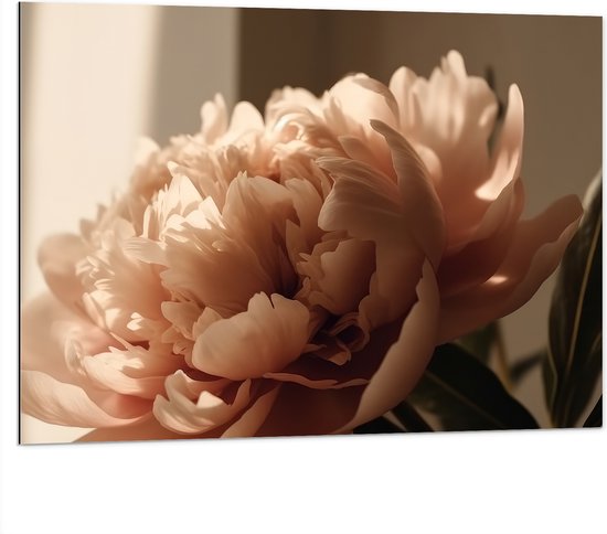 Dibond - Bloeiende Grote Pastelroze Bloemen - 100x75 cm Foto op Aluminium (Wanddecoratie van metaal)