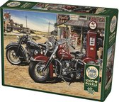 Cobble Hill puzzle 1000 pieces - Two for the road