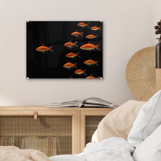 MuchoWow® Peinture sur verre 40x30 cm - Peinture sur verre acrylique - Poisson rouge - Animaux - Zwart - Photo sur verre - Peintures