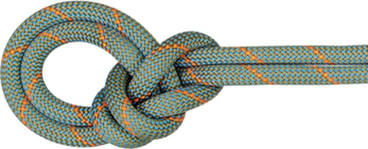 Mammut 9.9 Crag Workhorse Dry Rope - 70 meter