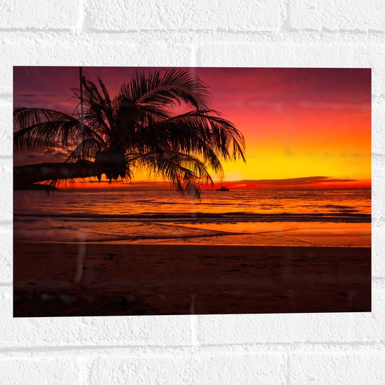 Muursticker - Silhouet van Palmboom Hangend over het Strand tijdens Rozekleurige Zonsondergang - 40x30 cm Foto op Muursticker