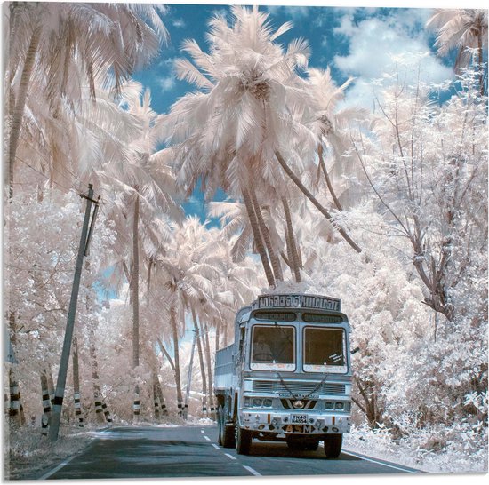 Acrylglas - Wit Busje Rijdend tussen de Witte Palmbomen onder Schapenwolken - 50x50 cm Foto op Acrylglas (Wanddecoratie op Acrylaat)