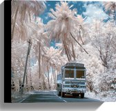 Canvas - Wit Busje Rijdend tussen de Witte Palmbomen onder Schapenwolken - 30x30 cm Foto op Canvas Schilderij (Wanddecoratie op Canvas)