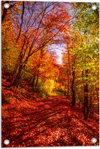 Tuinposter – Bospad Bedolven onder Rode Herfstbladeren in Herfstbos - 40x60 cm Foto op Tuinposter (wanddecoratie voor buiten en binnen)