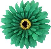 Haarbloem gerbera groen