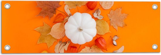 Tuinposter – Herfst Compositie van Bladeren en Pompoen - 60x20 cm Foto op Tuinposter (wanddecoratie voor buiten en binnen)