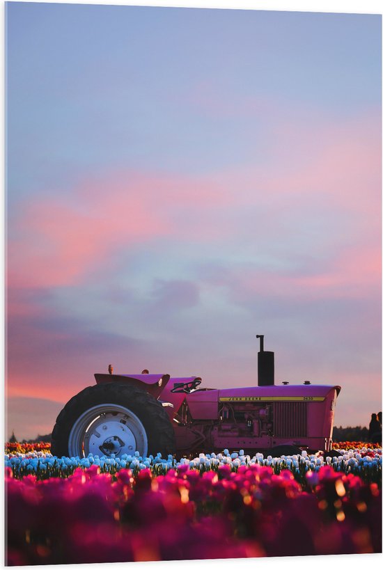 Acrylglas - Felroze Tractor Geparkeerd in het Bloemenveld - 70x105 cm Foto op Acrylglas (Met Ophangsysteem)