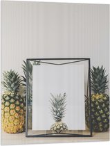 Vlag - Lijst met Ananas en Ananassen ernaast - 75x100 cm Foto op Polyester Vlag