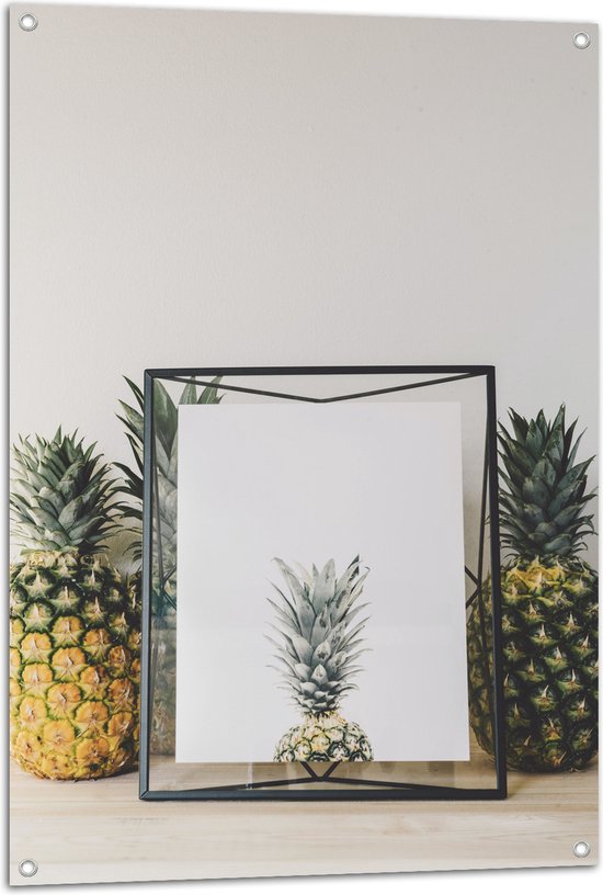 Tuinposter – Lijst met Ananas en Ananassen ernaast - 70x105 cm Foto op Tuinposter (wanddecoratie voor buiten en binnen)