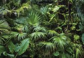 Fotobehang - Vinyl Behang - Tropische Jungle Bladeren en Planten - 152,5 x 104 cm