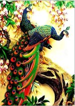 Sellaio® - Schilderen op Nummer Volwassenen - Hobby en creatief volwassenen - 40x50 cm - Pauw - Peacock - Paint by Number - Hobby Pakket - Met 3 kwasten - Zonder lijst - Met ophanghaakjes